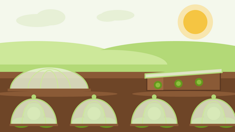 Die Gartensaison verlängern — flache Illustration von Clochen und einem Frühbeet, die Pflanzen in einem Gartenbeet schützen