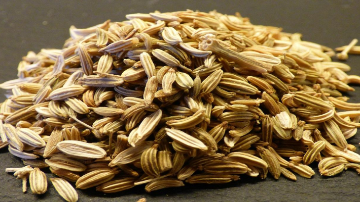 Kräutersamen – SeedsChoice