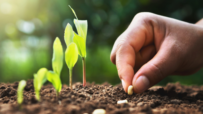 Bio-Saatgut – SeedsChoice