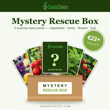 SeedsChoice Mystery Box — surprise mix of vegetable, herb, flower and fruit seeds