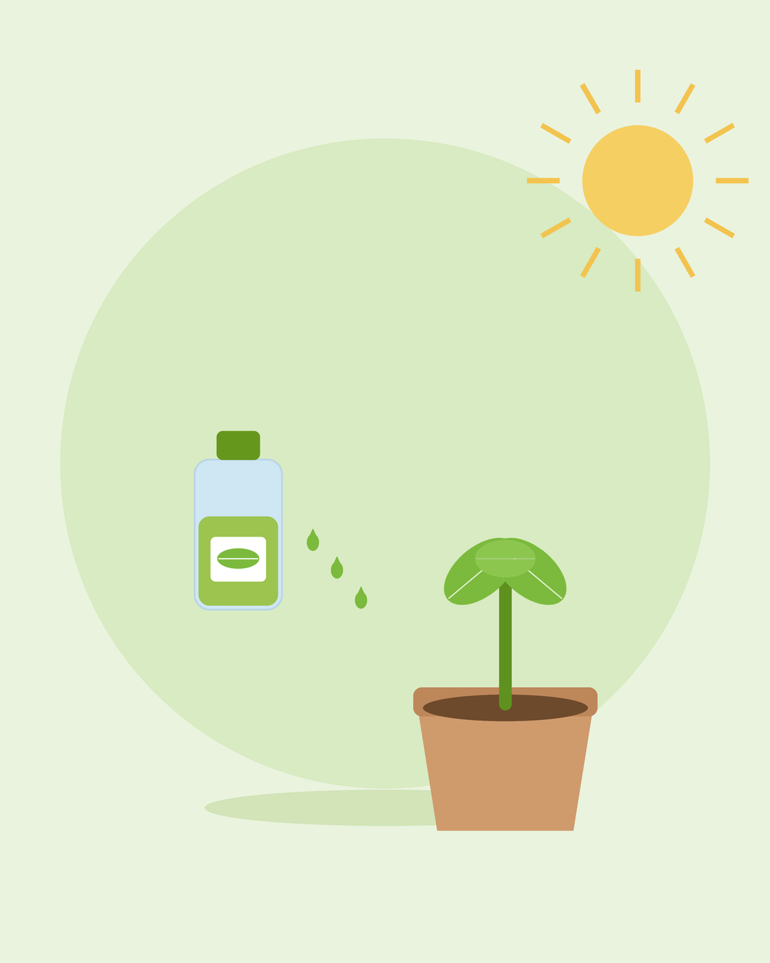 Flat illustration of a plant-feed bottle with drops beside a potted seedling — feeding and fertilising plants, from SeedsChoice