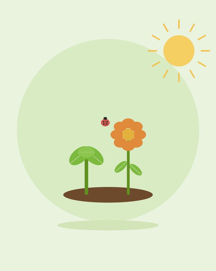 Flache Illustration eines Gemüses und einer Blume, die nebeneinander wachsen, mit einem Marienkäfer — Mischkultur, von SeedsChoice