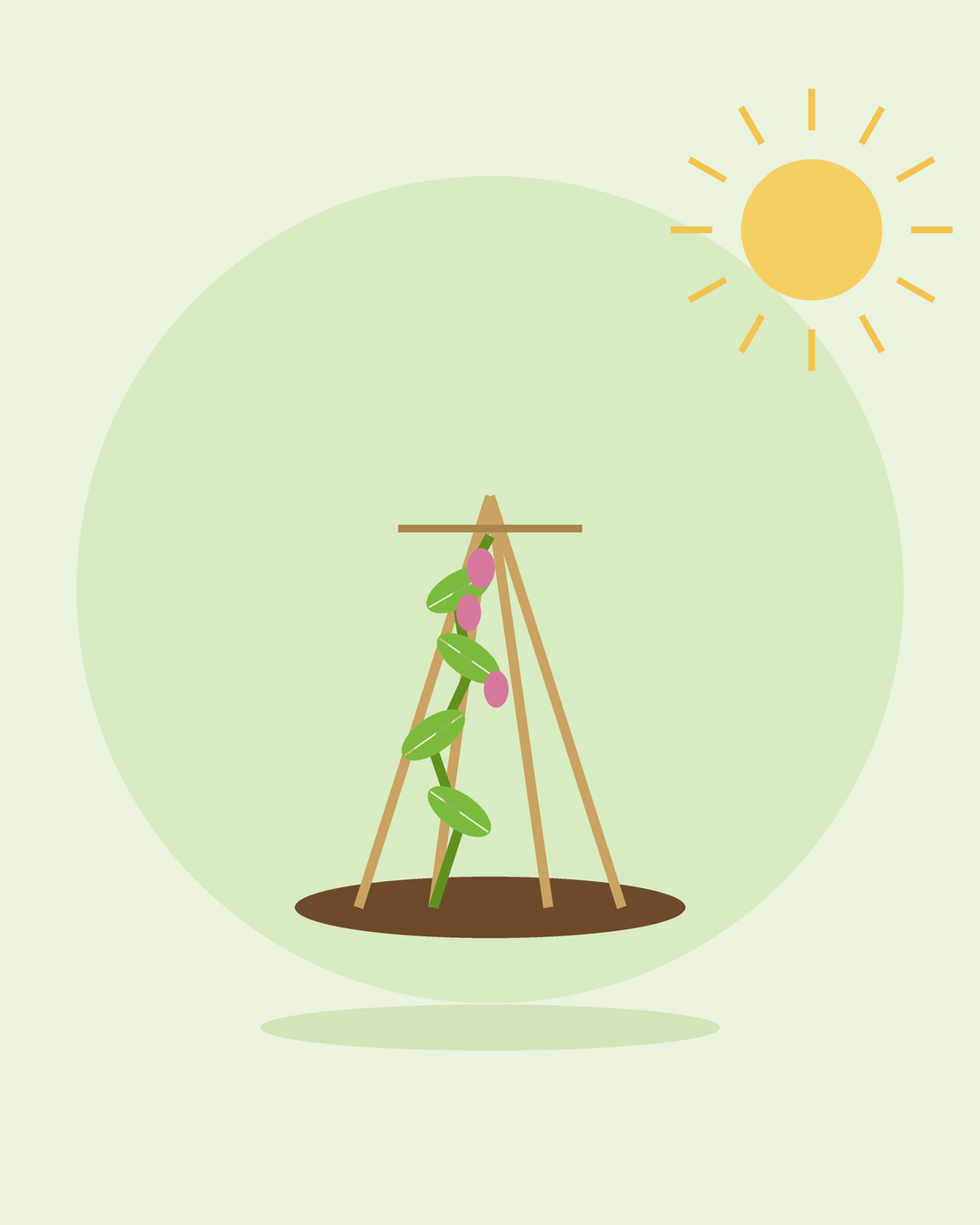 Flache Illustration einer Kletterpflanze, die an einem Stangen-Wigwam emporwächst — Pflanzenstützen und Rankhilfen, von SeedsChoice