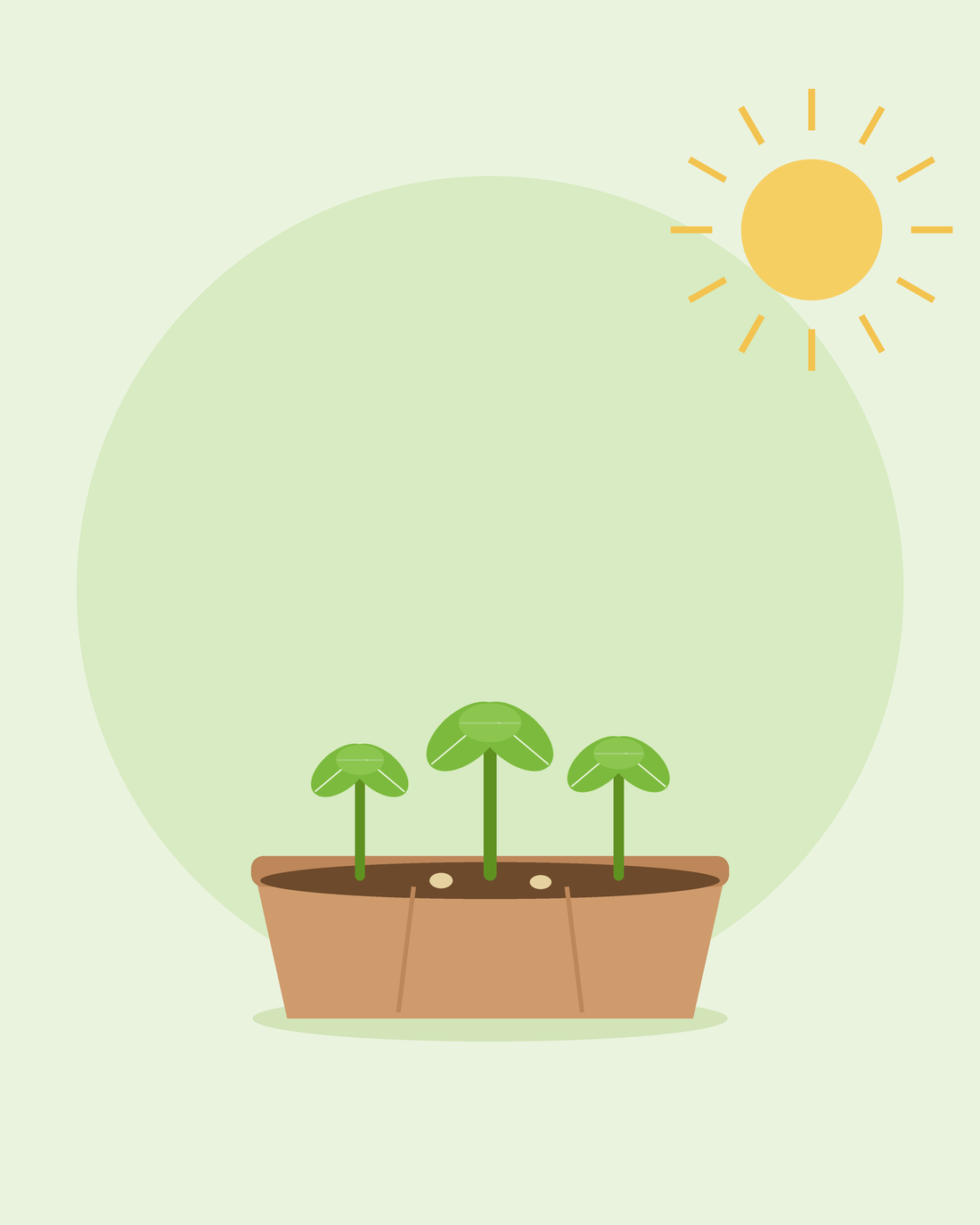 Flache Illustration einer Saatschale mit drei jungen Sämlingen in der Sonne — Anzucht aus Samen für Einsteiger, von SeedsChoice