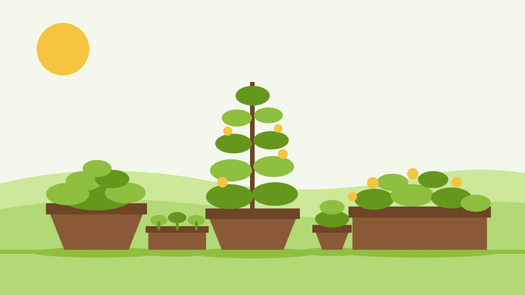 Kübel-Gärtnern aus Samen — flache Illustration mit Terrakottatöpfen, einem Blumenkasten und einer Anzuchtschale mit jungen Sämlingen auf einer sonnigen Terrasse