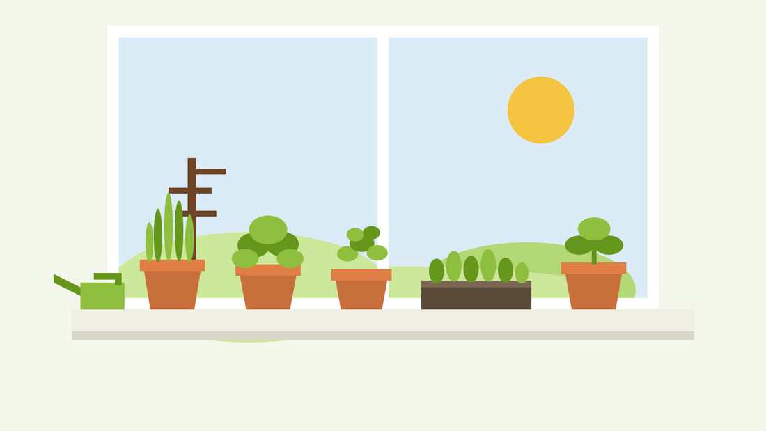 Growing herbs indoors in winter — flat illustration of pots of chives, parsley and chervil with a tray of salad leaves on a bright windowsill