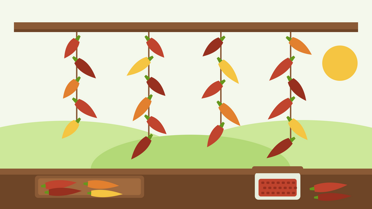 Chilis trocknen — flache Illustration von roten, orangefarbenen und gelben Chilis, die an Schnüren von einem Holzbalken hängen, mit einem Trocknungsblech und einem Glas Chiliflocken auf der Arbeitsfläche darunter