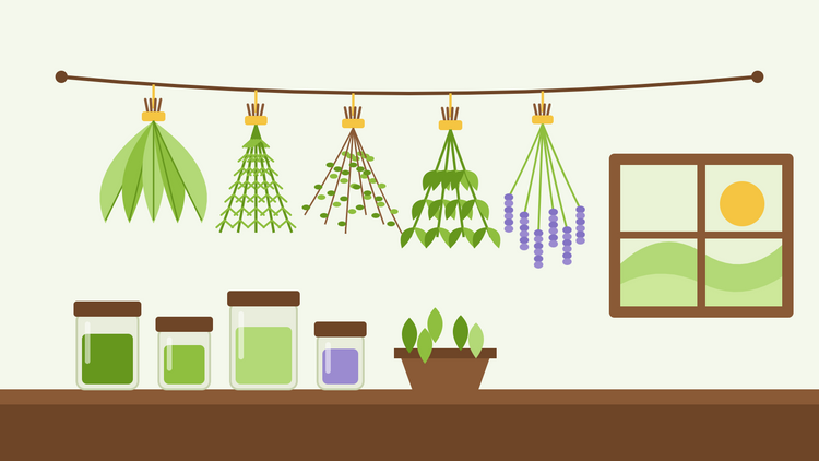 Kräuter trocknen — flache Illustration von Bündeln aus Salbei, Rosmarin, Thymian, Minze und Lavendel, die kopfüber an einer Leine über einem Regal mit Gläsern getrockneter Kräuter hängen, mit Fenster und Sonne
