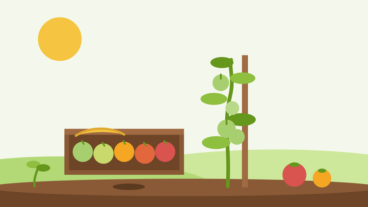Grüne Tomaten nachreifen lassen – flache Illustration eines Holztabletts mit Tomaten, die von Grün zu Rot reifen, neben einer Banane und einer am Pfahl gezogenen Tomatenpflanze
