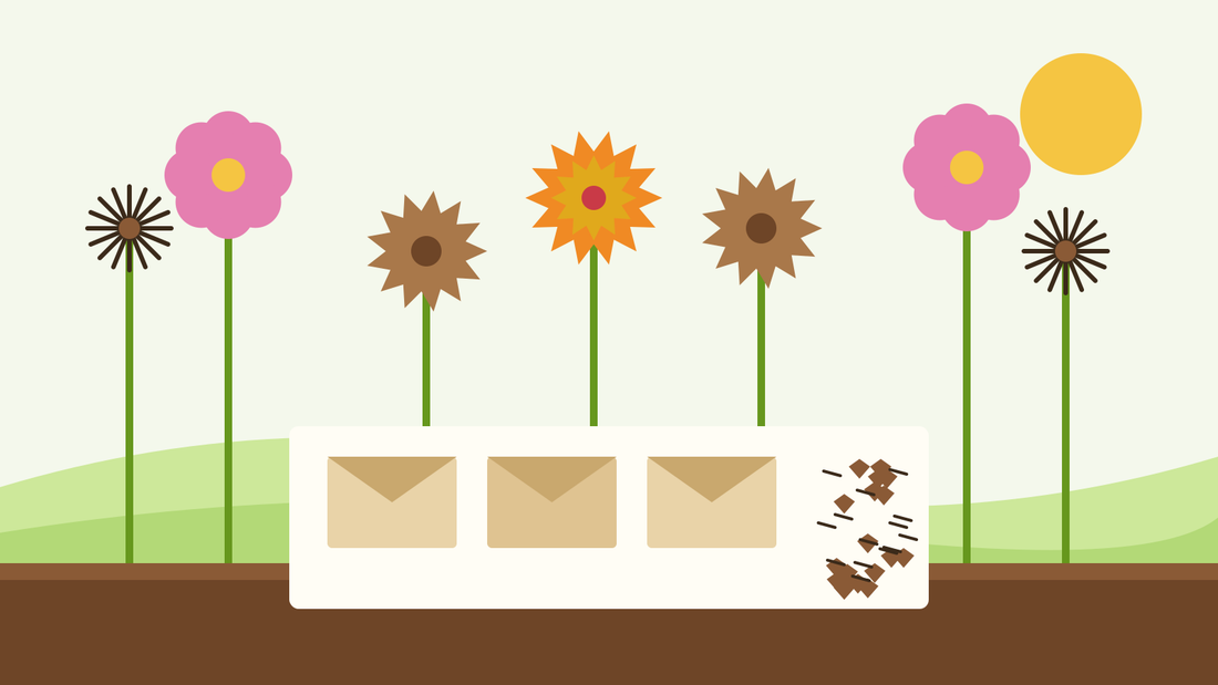 How to save zinnia, cosmos and marigold seeds — flat illustration of dried brown seed heads, cosmos seed starbursts and paper seed envelopes in an autumn garden