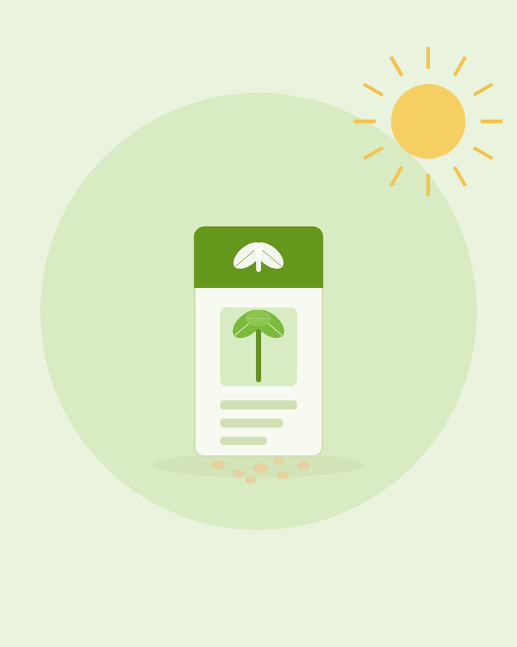 Flat illustration of a seed packet with a sprout emblem and spilling seeds — understanding seed packets, from SeedsChoice