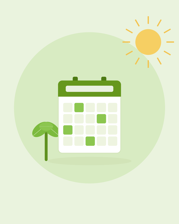 Flat illustration of a wall calendar with a sprout — month-by-month sowing calendar, from SeedsChoice