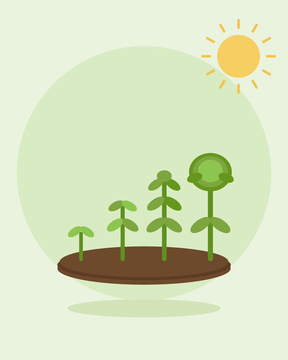 Flat illustration of a row of plants growing in stages from sprout to harvest-ready — succession sowing, from SeedsChoice