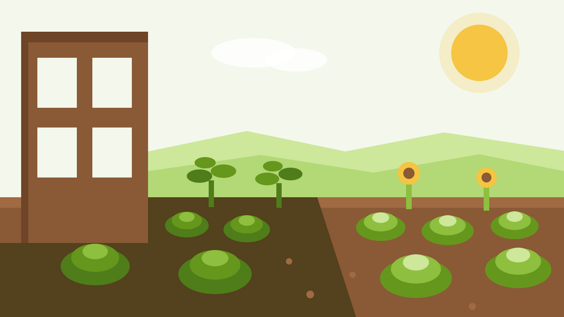 What to grow in shade — flat illustration of a garden bed half in the shadow of a wall, with leafy crops in shade and sunflowers in the sun