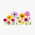 Blumensamen – Kollektion bei SeedsChoice