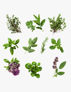collection_image