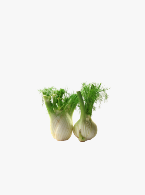 collection_image
