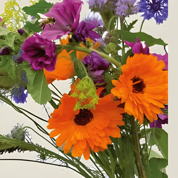 For Bees Mix seeds (Sinapis alba) – organic annual flower