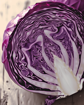 Red Cabbage Seeds Organic Klimaro F1 Brassica Oleracea Annual