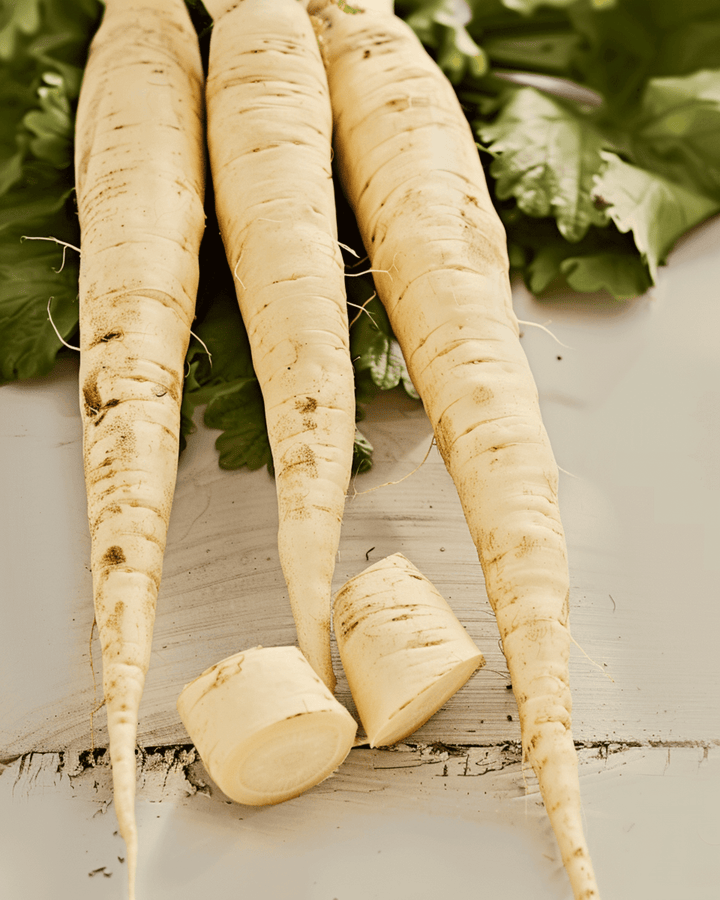 Parsnip Guernsey seeds (Pastinaca sativa) – organic annual vegetable