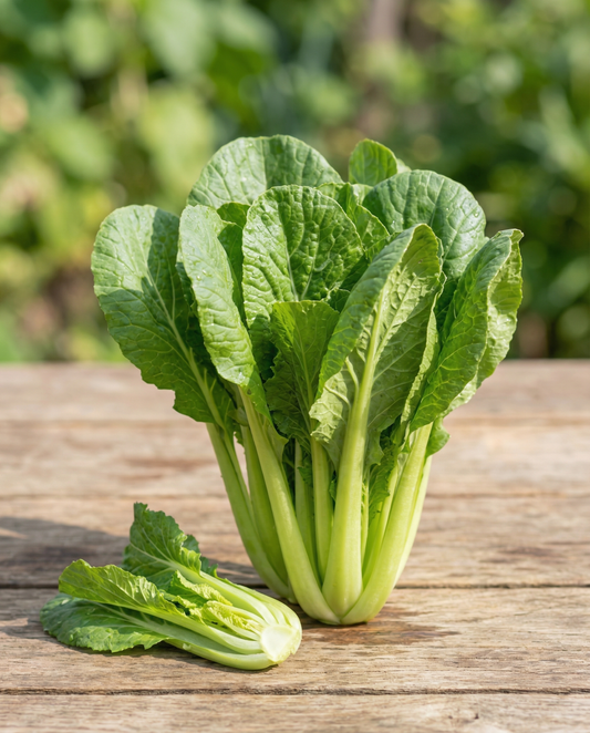 Turnip Greens Namenia (Brassica rapa) – organic annual vegetable seeds from SeedsChoice