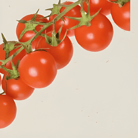 Cherry Tomato Seeds Cerise Solanum Lycopersicum Organic Annual Vegetable