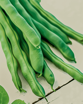 Stangenbohnensamen Bio Helda Phaseolus Vulgaris einjährig