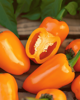 Sweet Pepper Seeds Snacking Mini Orange Annual Capsicum Annuum