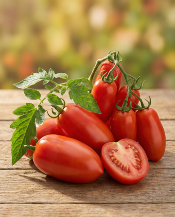 Tomate Roma Vf (Solanum lycopersicum) – einjährige Gemüsesamen von SeedsChoice