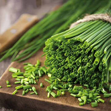 Chives Prager Medium Fine seeds (Allium schoenoprasum) – perennial herb