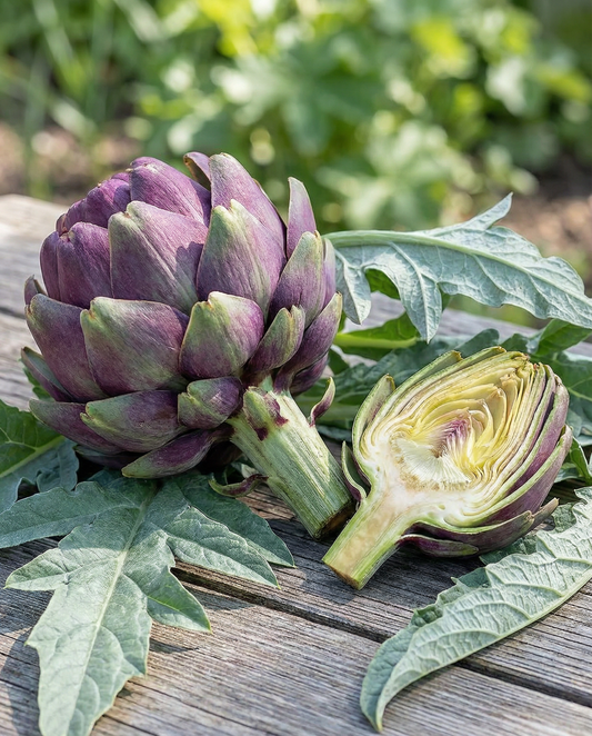 Artichoke Violet De Provence (Cynara cardunculus) – mehrjährige Gemüsesamen von SeedsChoice