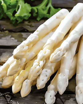 Spargelsamen Early Argenteuil Asparagus Officinalis mehrjährig