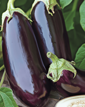 Eggplant Violetta Lunga 2 seeds (Solanum melongena) – annual vegetable