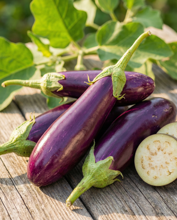 Eggplant Violetta Lunga 2 (Solanum melongena) – annual vegetable seeds from SeedsChoice