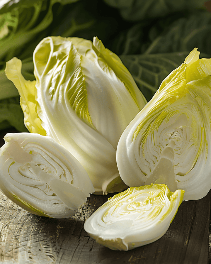 Chicory Zoom F1 Samen (Cichorium intybus) – zweijähriges Gemüse
