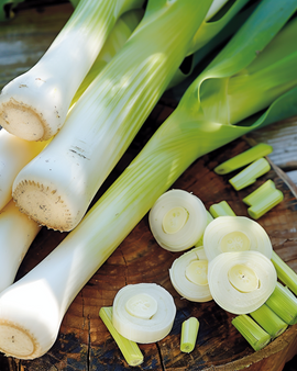 Lauchsamen Winterreuzen 3 Allium Porrum einjährige Sorte