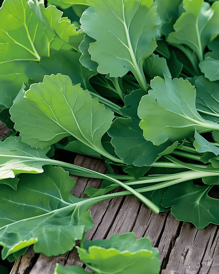 Turnip Leaves seeds (Brassica rapa) – annual vegetable