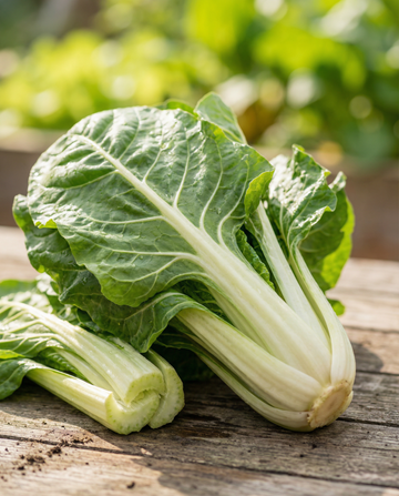 Swiss Chard Lucullus (Beta vulgaris) – annual vegetable seeds from SeedsChoice