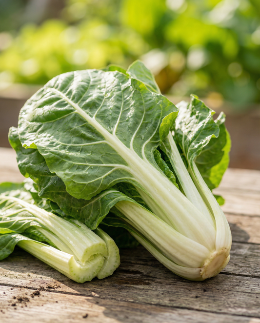 Swiss Chard Lucullus (Beta vulgaris) – annual vegetable seeds from SeedsChoice