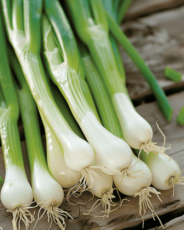 Bunching Onion White Lisbon Samen (Allium cepa) – einjähriges Gemüse