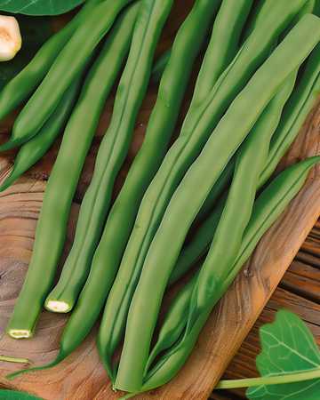 Buschbohne Miracle Samen (Phaseolus vulgaris) – einjähriges Gemüse