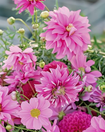 Summerflowers Pretty Pink Mix seeds – annual flower