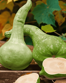 Birdhouse Bottle Gourd Seeds Lagenaria Siceraria Annual Climber
