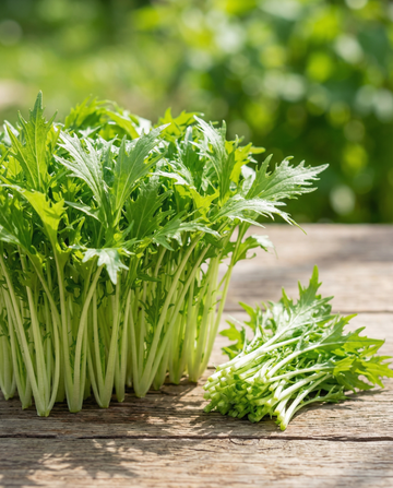 Mizuna Microgreens (Brassica rapa) – einjährige Microgreens-Samen von SeedsChoice