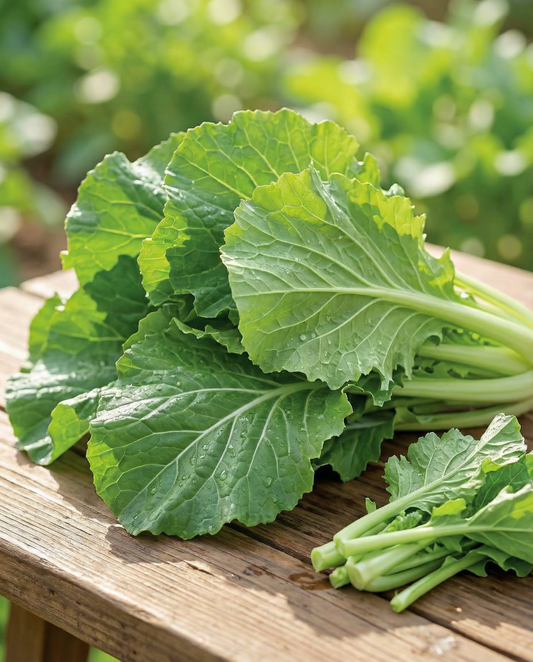 Amsoi (Brassica juncea) – einjährige Gemüsesamen von SeedsChoice