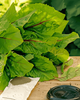 Chinese Spinach Seeds Amaranthus Dubius Annual Bayam