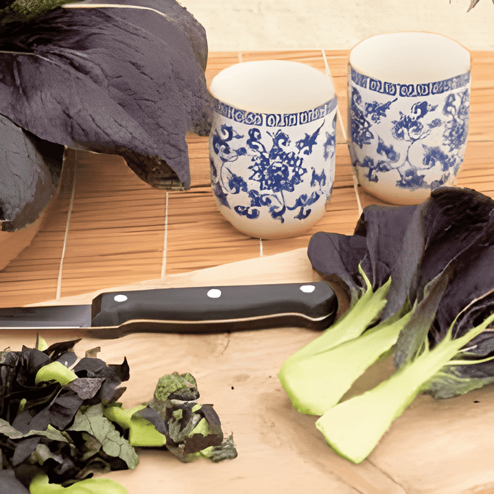 Red Tatsoi Samen (Brassica rapa) – Gemüse