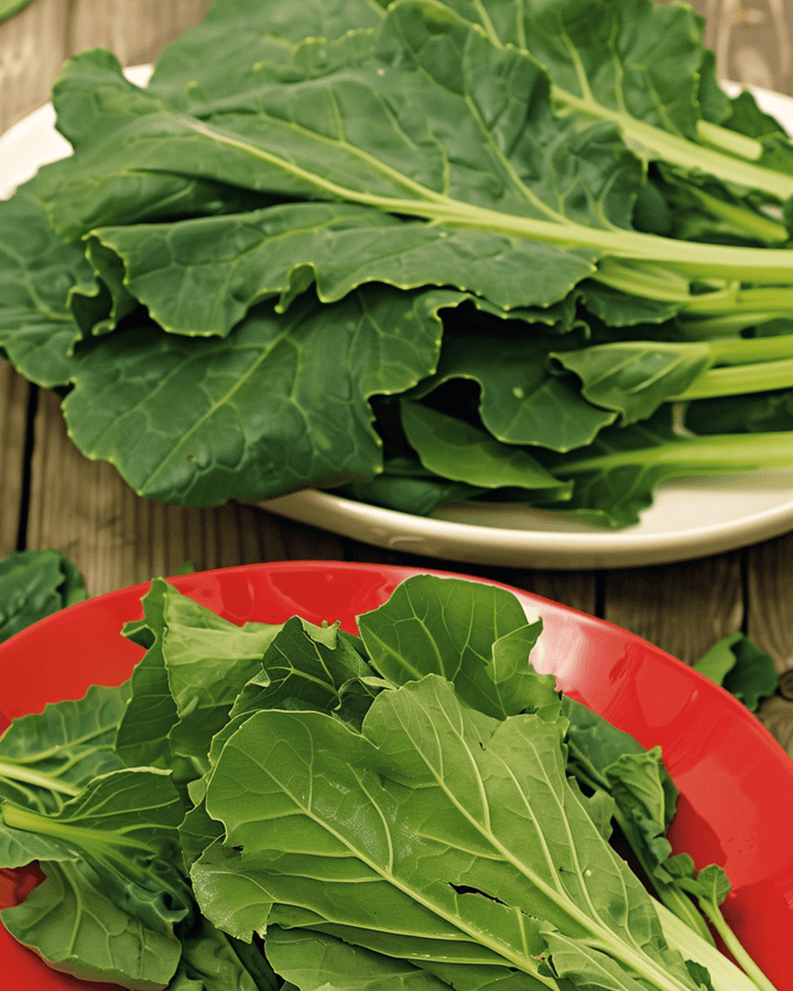 Komatsuna Mustard Spinach Samen (Brassica rapa) – Gemüse