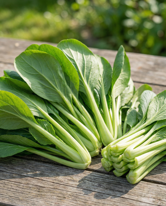 Komatsuna Mustard Spinach (Brassica rapa) – Gemüsesamen von SeedsChoice
