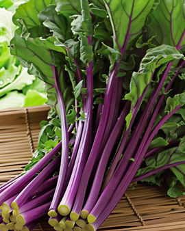 Hon Tsai Tai Seeds Brassica Rapa Annual Purple Stems